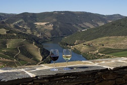 Real Companhia Velha pelo terceiro ano consecutivo no Top 100 da Wine Spectator