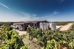Casa Relvas distinguida no concurso internacional BRIT/FIVS Announce 2020 International Sustainable Winegrowing