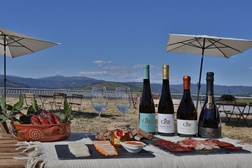 Quintas de Melgaço junta sabores da terra na Festa do Alvarinho