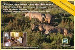Páscoa com Lobos e Cavalos Selvagens - Uma aventura de 4 dias na natureza, seguindo os rastos e sinais do Lobo ibérico e das suas presas no Parque Nacional da Peneda Gerês.