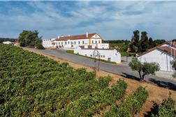 Fundação Eugénio de Almeida reabre enoturismo Cartuxa
