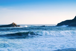 Oceanos e alterações climáticas em debate no Museu de História Natural - Dia Mundial dos Oceanos