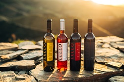 Vinhos Borges celebram 107 anos da marca Lello