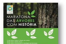Maratona das árvores com história em Estremoz