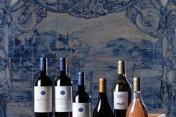 Monte da Ravasqueira arrecada 7 medalhas no Concurso Vinhos de Portugal 2016