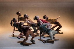 Centro Cultural Vila Flor recebe “Fall”