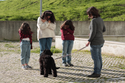 Os cães são nossos amigos! - na Biblioteca Belém