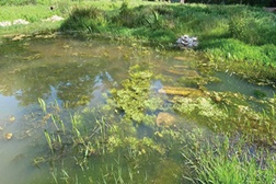 Serralves apresenta o novo Charco do Parque