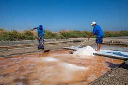 Dia da Ecologia assinalado na Moita com visita ao Sítio das Marinhas