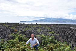 Uma viagem virtual pelos vinhos da CVIP PicoWines