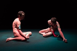 Guimarães celebra Dia Mundial da Dança com “Dark Field Analysis” e “Um Saco e uma Pedra”