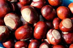 Centro Comercial Continente Loures celebra Magusto com distribuição de castanhas