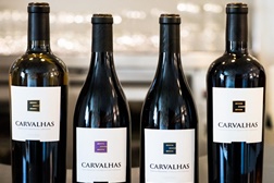 Monocasta de Touriga Nacional é o novo elemento da Quinta das Carvalhas