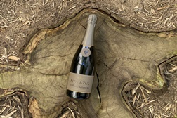 Fita Azul apresenta Brute Nature