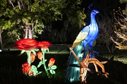 OCUBO ilumina noites imersivas no Jardim Botânico Tropical