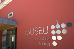 Museu do Vinho e da Vinha com entrada gratuita em 2014