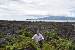 Brinde ao Verão com o novo Terras de Lava Branco 2019 da Picowines