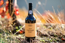 Vinhos Borges: 2020 é Vintage Clássico