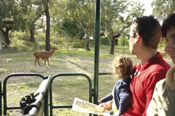 Pais com 50% de desconto no Monte Selvagem