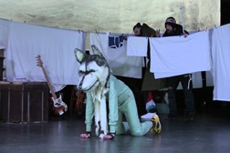 “A Conquista do Pólo Sul” no Centro Cultural Vila Flor