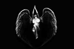 Exposição "GABRIELLE BENOT" - Exposição Fotográfica