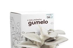 Gumelo propõe um “Dia da Criança” diferente e apoia a Fundação do Gil