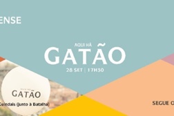 Tour "Aqui Há Gatão" despede-se do verão no Porto