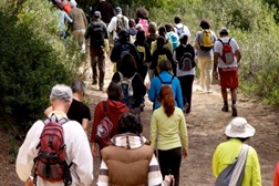 "Mexa-se em Palmela" - Comemorações do mês da juventude e do Dia Mundial da Floresta