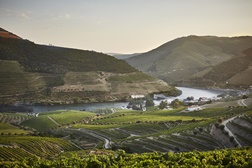 Quinta do Bomfim entre os melhores espaços vinícolas do mundo
