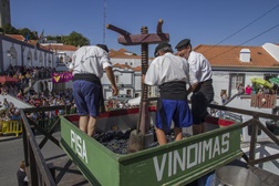 Pisa da Uva e Bênção do 1.º Mosto sublinham tradição no Programa Vindimas 2020 em Palmela