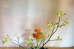 Workshops de Ikebana, Feng Shui e caligrafia japonesa no Museu do Oriente