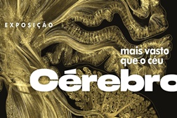 Exposição "Cérebro - mais vasto que o céu" na Gulbenkian