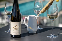 QM Nature 2019: a nova colheita de luxo para os amantes de Alvarinho