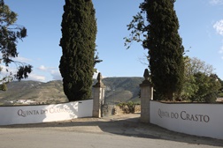 Quinta do Crasto entre as “50 Melhores Vinhas do Mundo”