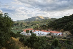 Cortes do Reguengo: a nobreza do Douro