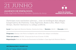 Conheça os segredos dos vinhos à mesa com os enólogos
