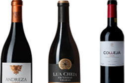 Lua Cheia em Vinhas Velhas, Andreza e Colleja destacados no International Wine Challenge