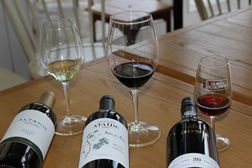 Symington: Provas de vinhos comentadas em direto agora também ao fim de semana