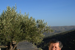 Celso Madeira