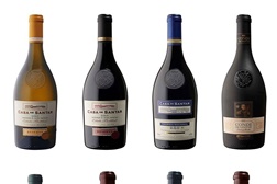 Vinhos do Dão em prova na Garrafeira VIP