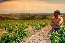 Prova descontraída Mont’Alegre com o enólogo Francisco Gonçalves - Quinta, dia 10 de Setembro entre às 17:00 e às 20:00