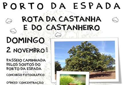 Rota da Castanha e do Castanehiro - Marvão - 2 de novembro - Passeio Pedestre seguido de um magusto no campo
