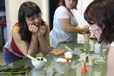 Centro Ciência Viva do Lousal - Ciência Viva no Verão