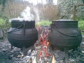 GASTRONOMIA & VINHOS QUINTA DE FIÃES
