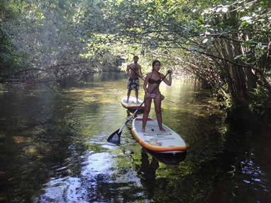 Rio Alva