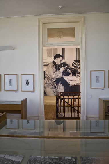 Sala das caricaturas