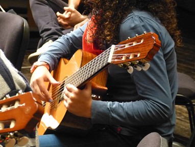 Viola dedilhada