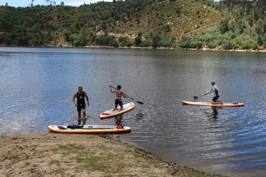 Mondego (Tábua)