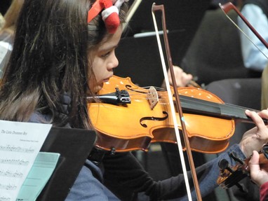 Violino