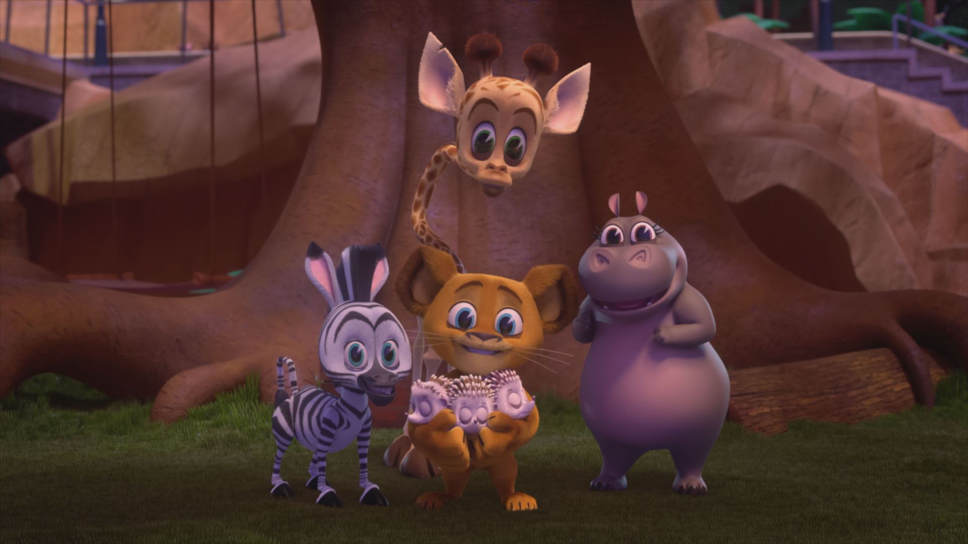 Copia di Madagascar 2 - Moto Moto & Gloria 